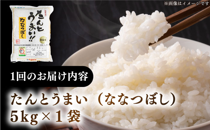 【全6回定期便】【令和6年産新米】特A受賞 たんとう米(ななつぼし) 5kg《厚真町》 【とまこまい広域農業協同組合】 お米 ご飯 ななつぼし [AXAB077]