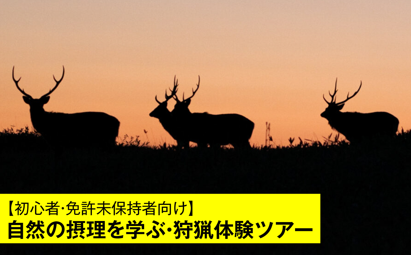 【初心者・免許未保持者向け】自然の摂理を学ぶ・狩猟体験ツアー [AXCK008]