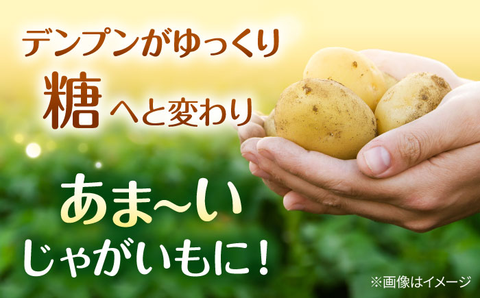 【先行予約商品】【5月中旬から発送予定！】氷室メークイン2kg《厚真町》【とまこまい広域農業協同組合】 じゃがいも ジャガイモ 芋 メークイン 野菜 先行予約 北海道 [AXAB048]