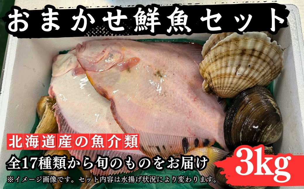 漁港直送！季節のおまかせ鮮魚 3kgセット 詰め合わせ 