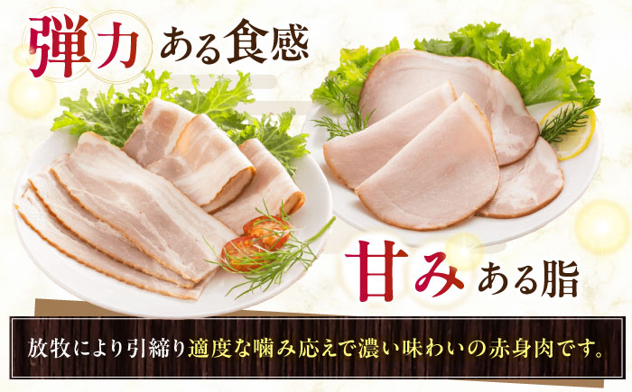 放牧豚 ハムベーコンスライス 2種セット 計745g 《厚真町》【ファーマーズファクトリー株式会社】 無塩せき 無添加 北海道 [AXBA150]
