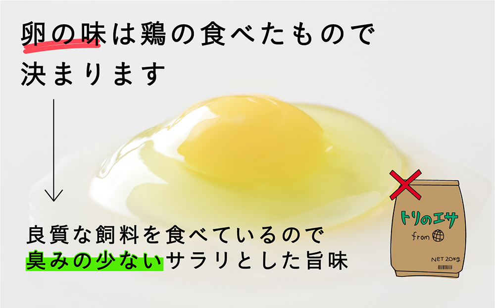 【全6回定期便】こだわりの無投薬･平飼い有精卵 50個《厚真町》【テンアール株式会社】 たまご 卵 鶏卵 玉子 生卵 平飼い 北海道 定期便  [AXAN002]