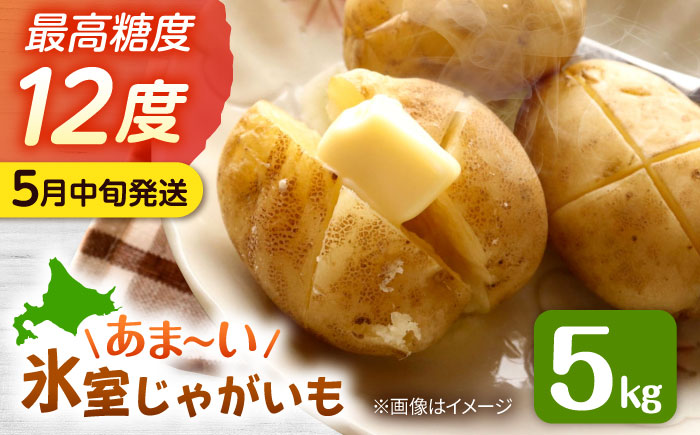 【先行予約商品】【5月中旬から発送予定！】氷室メークイン 5kg《厚真町》【とまこまい広域農業協同組合】 じゃがいも ジャガイモ 芋 メークイン 野菜 先行予約 北海道 [AXAB046]