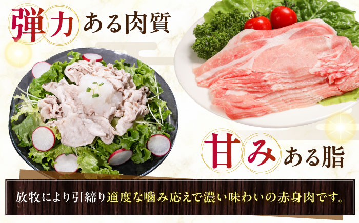 放牧豚ロース しゃぶしゃぶ 計900g（150g×6）《厚真町》　【ファーマーズファクトリー株式会社】 [AXBA137]