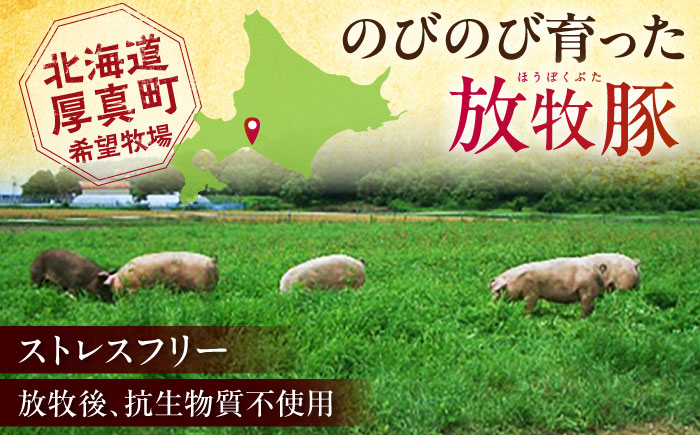 放牧豚 ハム・ソーセージ＆スライス肉 13種セット《厚真町》【ファーマーズファクトリー株式会社】  ハム ソーセージ ウインナー 無塩せき ロース セット 詰め合わせ 北海道 [AXBA001]