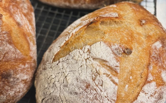 厚真を味わう 自家製酵母のパン詰め合わせ Bセット《厚真町》【パン工房Chillin'】 パン 道産小麦 国産小麦 自家製酵母 詰め合わせ セット 朝食 冷凍配送 北海道 [AXBC002]