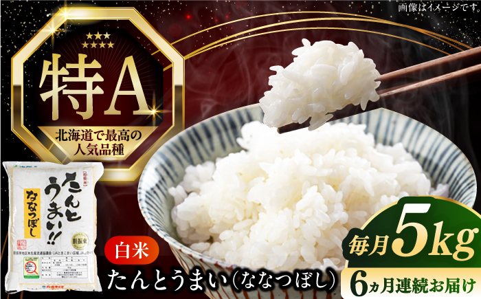 【全6回定期便】【令和6年産】たんとう米（ななつぼし）5kg《厚真町》【とまこまい広域農業協同組合】 米 お米 白米 ご飯 ななつぼし 北海道 定期便 [AXAB077]