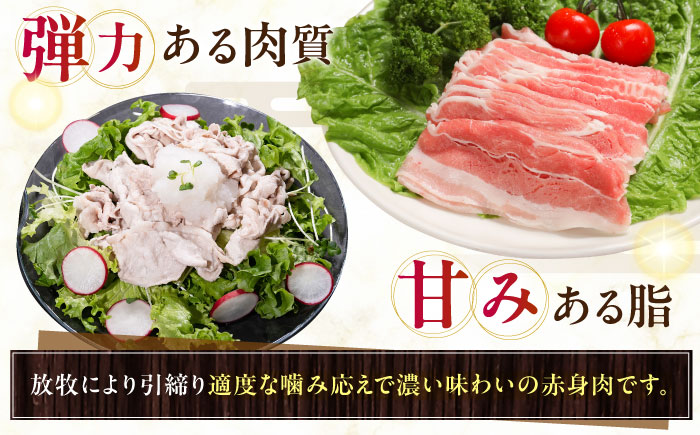 放牧豚バラしゃぶしゃぶ 計800g（200g×4）《厚真町》　【ファーマーズファクトリー株式会社】 [AXBA128]