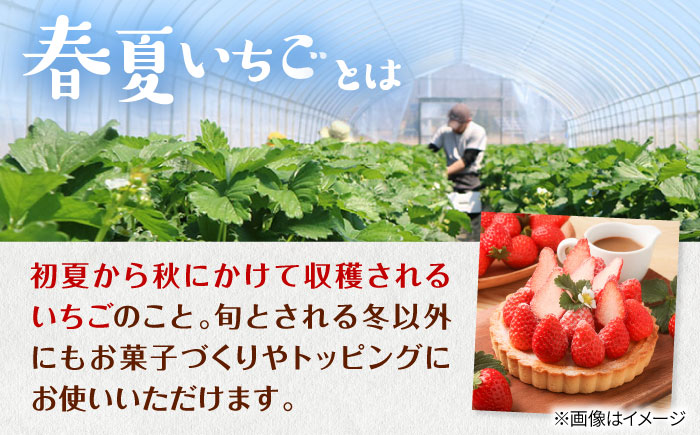 【先行予約 2026年5月以降順次発送】春夏イチゴ「けんたろう」計600g《厚真町》【こばやしいちご農園】 [AXBT001]