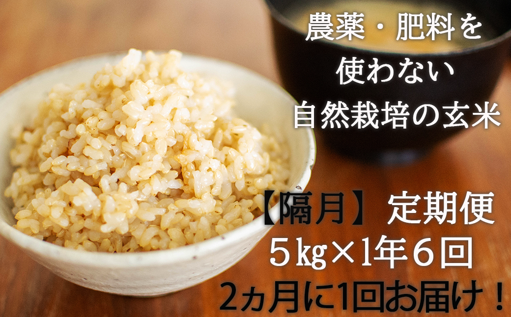 【隔月・全6回定期便】【令和6年産】【玄米】 自然栽培米「角田玄米」5kg《厚真町》【カクタファーム】 米 お米 玄米 ご飯 北海道 定期便 [AXAR005]