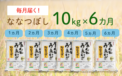 〈令和6年産 新米〉６ヵ月！毎月届く定期便ななつぼし１０kg（たんとうまい）