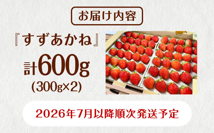【先行予約 2026年7月以降順次発送】夏秋イチゴ「すずあかね」計600g 《厚真町》【こばやしいちご農園】 [AXBT003]