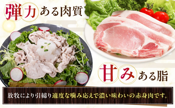 【全2回定期便】【簡易包装】放牧豚 スライス肉3種セット（ロース2種/モモ） 《厚真町》【ファーマーズファクトリー株式会社】 ロース モモ 豚肉 とんかつ しゃぶしゃぶ ステーキ 北海道 セット 詰め合わせ[AXBA070]