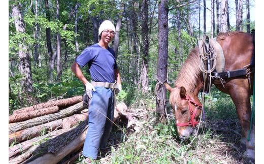 【全3回定期便】北海道 ナラ薪 100kg（20kg×5箱）《厚真町》【西埜馬搬】 薪 まき 薪ストーブ ストーブ キャンプ 北海道 定期便 [AXBE007]