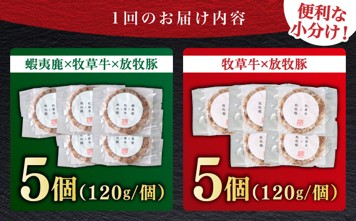 【全6回定期便】ハンバーグ 食べ比べ 10個セット（蝦夷鹿/牧草牛/放牧豚）《厚真町》【GOODGOOD株式会社】 ハンバーグ 鹿肉 牛肉 豚肉 セット 食べ比べ 小分け 冷凍配送 北海道 [AXBP048]