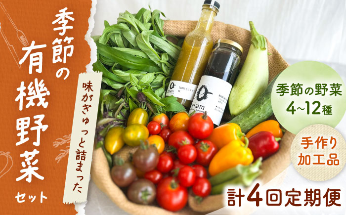【年4回コース定期便】 「季節の有機野菜セット」2〜3人分 《厚真町》 【ekam】 [AXBV009]