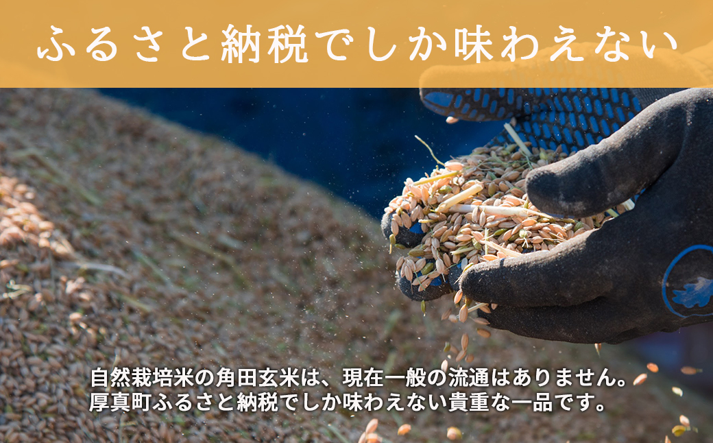 【全3回定期便】＜令和6年産新米＞自然栽培米「角田玄米」 5kg 《厚真町》【カクタファーム】 [AXAR004]