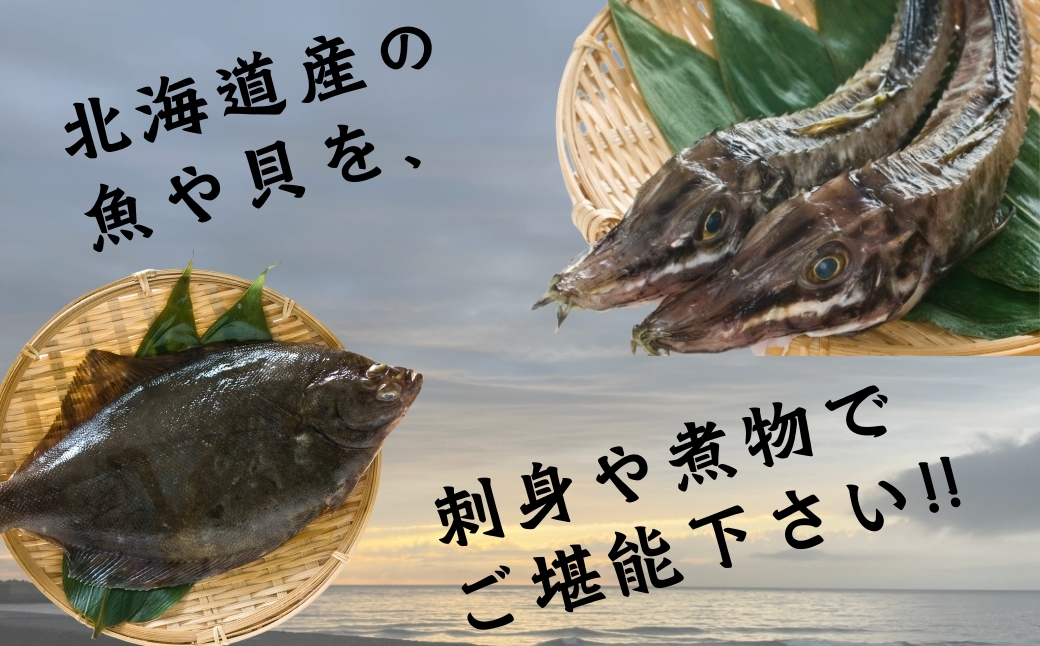 漁港直送！季節のおまかせ鮮魚 3kgセット 《厚真町》【鵡川漁業協同組合】 [AXAL002]