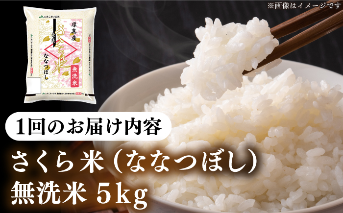 【全6回定期便】【無洗米】【令和7年産】さくら米（ななつぼし）5kg《厚真町》【とまこまい広域農業協同組合】 米 定期便 6ヵ月 半年 毎月 お米 無洗米 白米 ななつぼし 北海道 定期便[AXAB009]