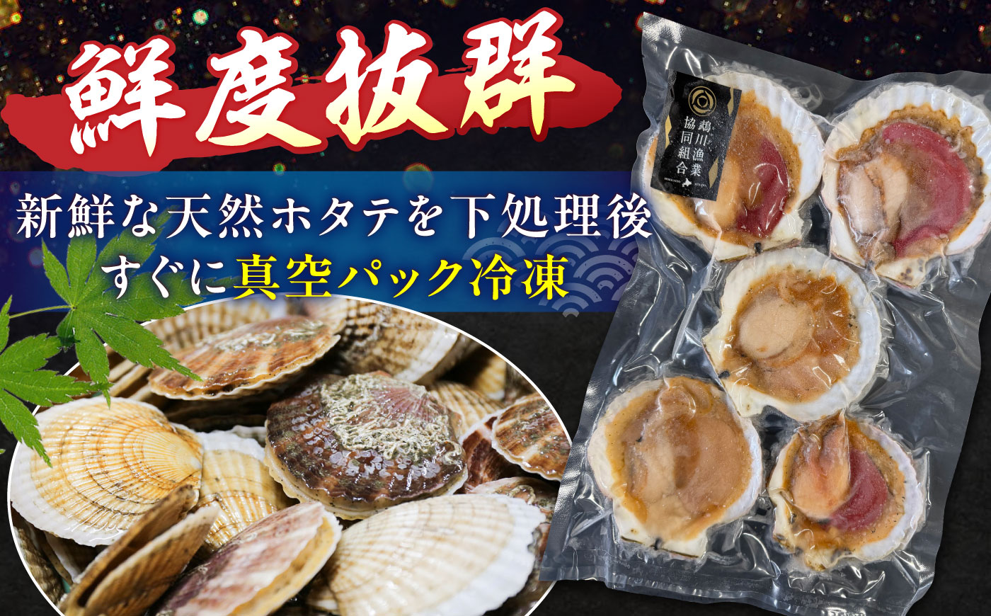 【数量限定】純天然 半殻つき 冷凍ホタテ 2袋セット《厚真町》【鵡川漁業協同組合】 ほたて ホタテ 帆立 海鮮 冷凍配送 北海道 [AXAL001]