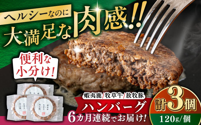【全6回定期便】 【蝦夷鹿×牧草牛×放牧豚】ハンバーグ 3個 《厚真町》【GOODGOOD株式会社】 ハンバーグ 鹿肉 牛肉 豚肉 小分け 冷凍配送 北海道 [AXBP016]