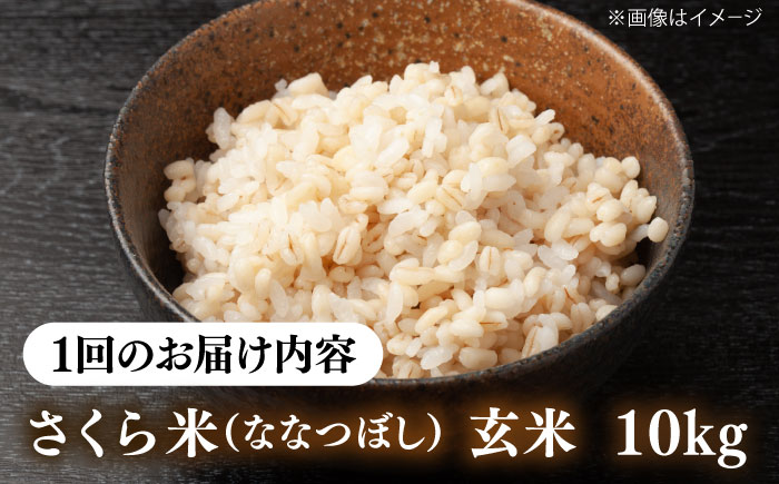 【全3回定期便】【玄米】さくら米 10kg《厚真町》【とまこまい広域農業協同組合】 米 お米 玄米 ご飯 ななつぼし 一等米 特A 北海道 [AXAB080]