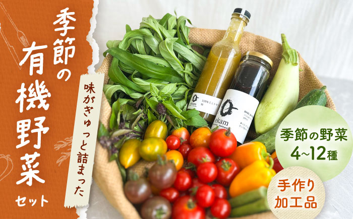 「季節の有機野菜セット」2〜3人分 《厚真町》 【ekam】 [AXBV007]