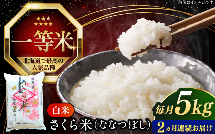 【全2回定期便】【令和6年産新米】北海道厚真町産 さくら米(ななつぼし) 5kg 《厚真町》 【とまこまい広域農業協同組合】 お米 ご飯 ななつぼし [AXAB078]