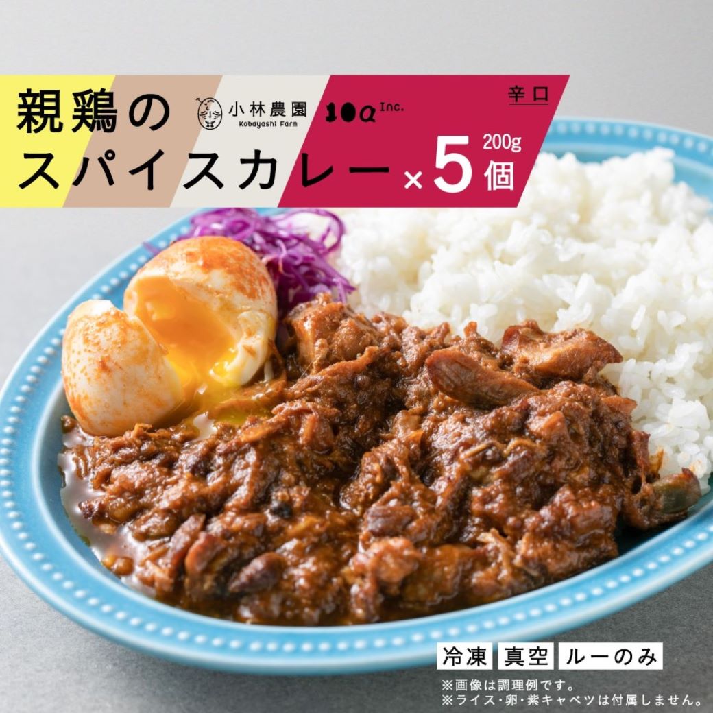 親鶏のスパイスカレー 5個セット（辛口）《厚真町》【テンアール株式会社】 カレー スパイスカレー 辛口 鶏 鶏肉 平飼い 冷凍配送 北海道 [AXAN009] 10000 10000円