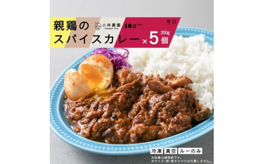 【全3回定期便】親鶏のスパイスカレー 5個（辛口）《厚真町》【テンアール株式会社】 カレー スパイスカレー 辛口 鶏 鶏肉 平飼い 冷凍配送 北海道 [AXAN086]