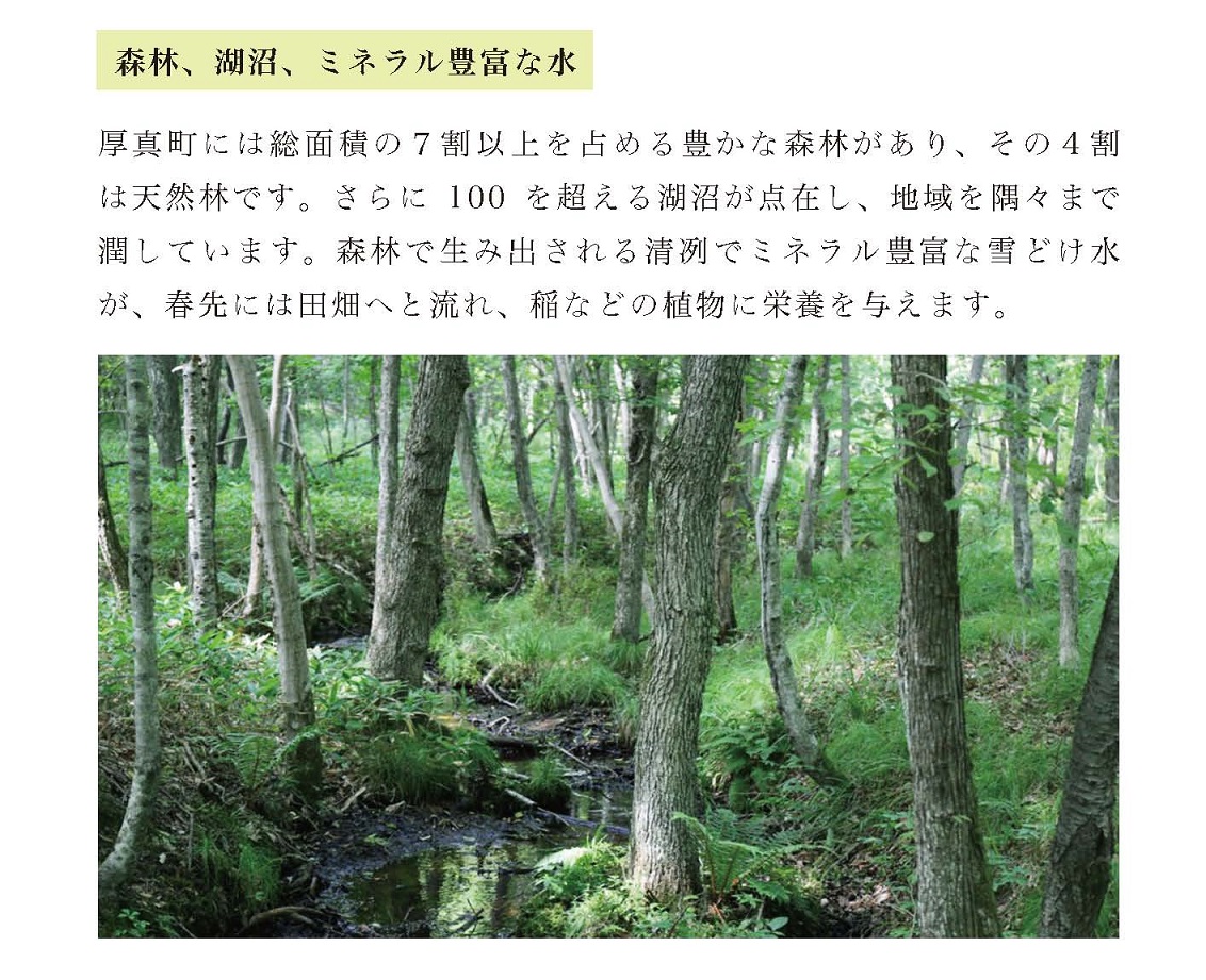 〈令和6年産 新米〉北海道厚真のブランド米「さくら米（ななつぼし）【無洗米】」半年間毎月5㎏