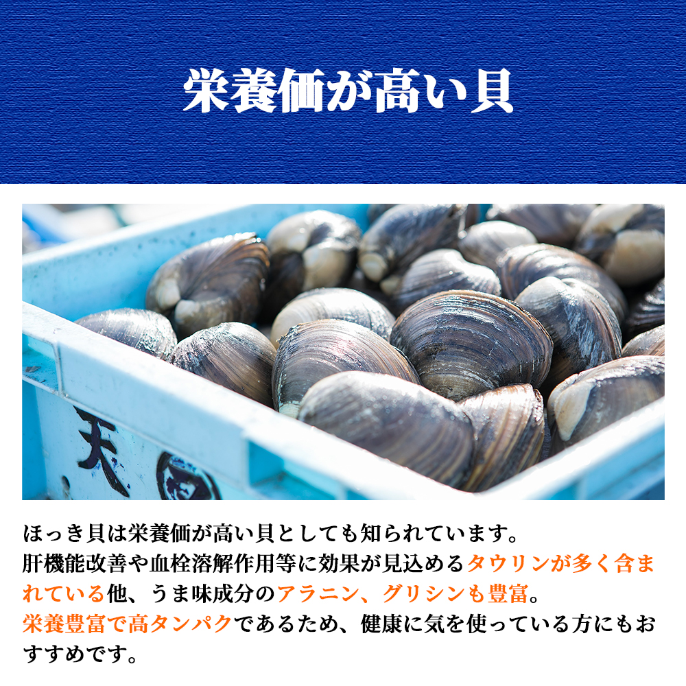 北海道　厚真町近海で獲れた活ほっき貝　10～15個セット