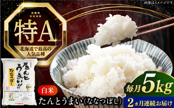 【全2回定期便】【令和6年産】たんとう米（ななつぼし）5kg《厚真町》【とまこまい広域農業協同組合】 米 お米 白米 ご飯 ななつぼし 北海道 定期便 [AXAB076]