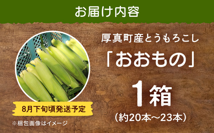 【2026年8月下旬発送予定】北海道厚真産とうもろこし おおもの 《厚真町》【(株)厚真ファーム】旬の野菜 夏野菜 大粒 高糖度 甘い トウモロコシ トウキビ 唐黍 コーン [AXAE001] 15000 15000円
