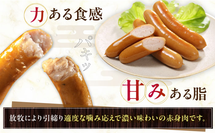 【全3回定期便】【結着剤・発色剤・保存料不使用】 放牧豚 ポークウィンナー・粗挽きウィンナー 計1kg（500g×各1パック）《厚真町》【ファーマーズファクトリー株式会社】 ソーセージ ウインナー チョリソー 粗挽き 無塩せき 冷凍配送 詰め合わせ 北海道[AXBA047]
