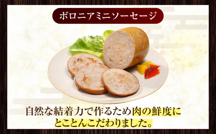 放牧豚 ボロニアミニソーセージ 計1,080g（180g×6）《厚真町》　【ファーマーズファクトリー株式会社】 無塩せき 無添加 北海道 [AXBA107]