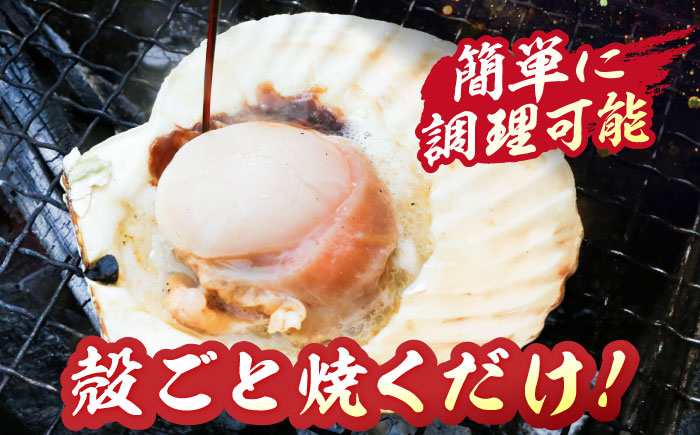 ＜期間限定受付＞【訳あり！】漁港直送！天然貝殻付き活ホタテ2.5kg《厚真町》　【鵡川漁業協同組合】　ホタテ 活ホタテ 帆立 海鮮 冷蔵配送 北海道 [AXAL007]