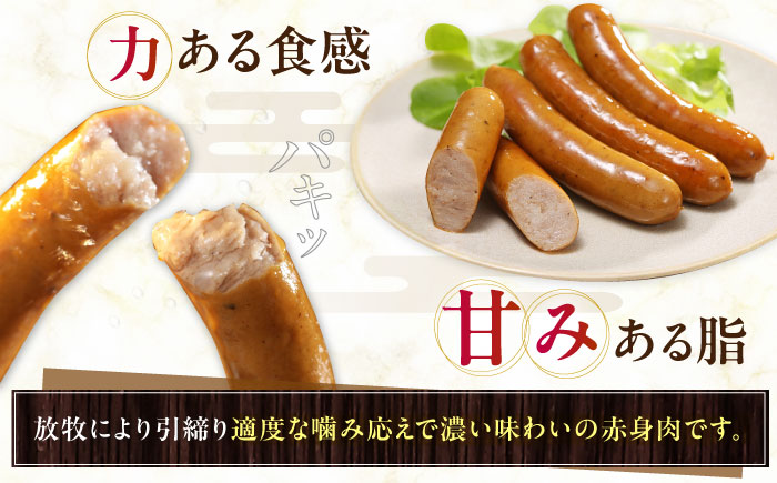 【全6回定期便】【結着剤・発色剤・保存料不使用】 放牧豚 粗挽きウィンナー  2パック（500g/パック）《厚真町》【ファーマーズファクトリー株式会社】 ソーセージ ウインナー チョリソー 粗挽き 冷凍配送 セット 詰め合わせ 北海道[AXBA056]