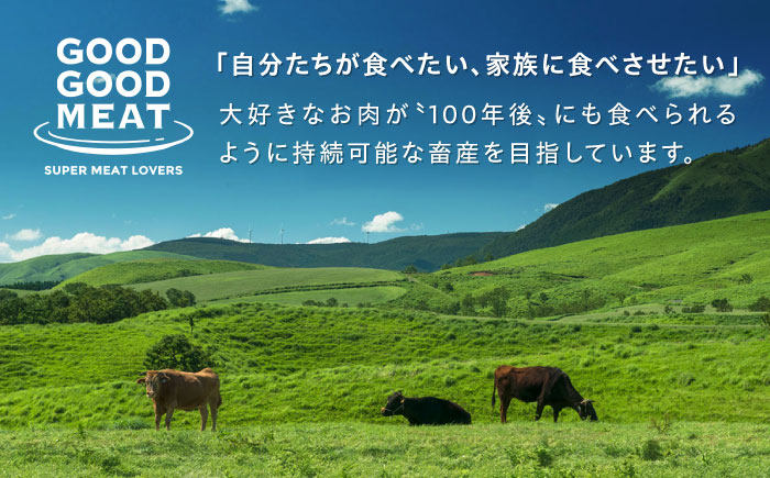 ハンバーグ 2種 食べ比べ 10個セット【蝦夷鹿/牧草牛/放牧豚と放牧豚/牧草牛】【GOODGOOD株式会社】 ハンバーグ 鹿肉 牛肉 豚肉 セット 食べ比べ 小分け 冷凍配送 北海道 [AXBP009]
