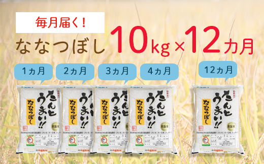 〈令和6年産 新米〉１２ヵ月！毎月届く定期便ななつぼし１０kg（たんとうまい）