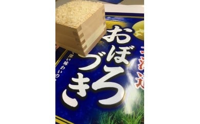 【全12回定期便】【有機質肥料・減農薬】新米 おぼろづき10kg 《厚真町》【あつま河村農場】 [AXAJ004]