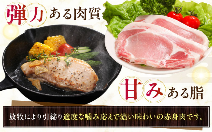 放牧豚ロース 厚切り 計400g（200g×2）《厚真町》　【ファーマーズファクトリー株式会社】 [AXBA139]