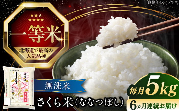 【全6回定期便】【無洗米】【令和6年産新米】さくら米（ななつぼし）5kg《厚真町》【とまこまい広域農業協同組合】 米 お米 無洗米 白米 ななつぼし 北海道 定期便[AXAB009]