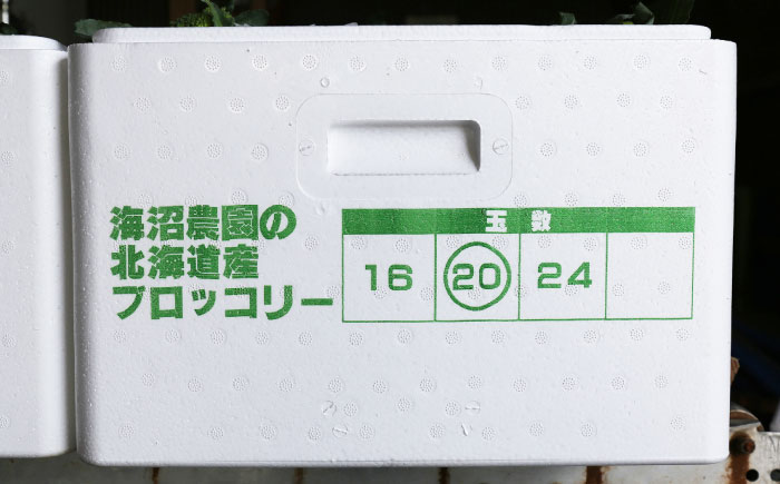 【2026年7月以降順次発送】農家直送！採れたてブロッコリー20玉セット《厚真町》【農事組合法人　海沼農園】 北海道 野菜 新鮮 鮮度抜群 緑黄色野菜 たっぷり [AXBD001]