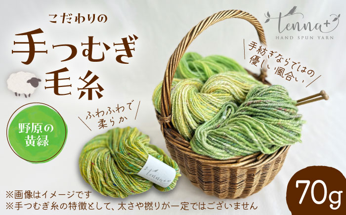 こだわりの手つむぎ毛糸 野原の黄緑 70g《厚真町》【tenna+】 [AXAY007]
