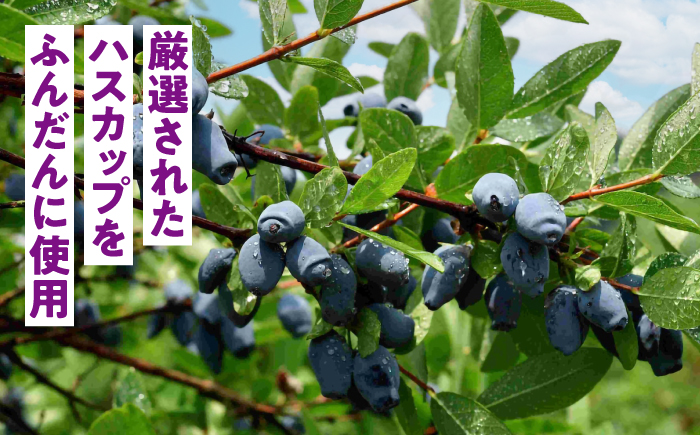 北海道厚真町産ハスカップジャム4瓶セット《厚真町》【株式会社知熊屋】 [AXBN002]