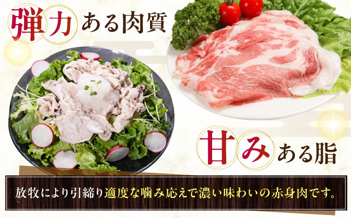 放牧豚肩ロース しゃぶしゃぶ 計1020g（170g×6）《厚真町》　【ファーマーズファクトリー株式会社】 [AXBA132]