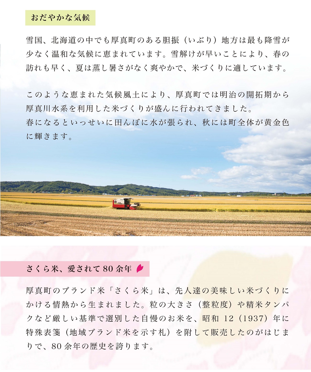 【無洗米】北海道厚真町産さくら米（ななつぼし）　10㎏