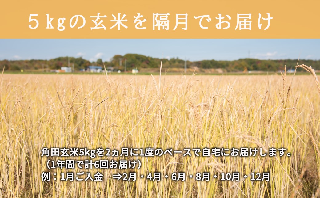 【隔月全2回定期便】＜令和6年産新米＞ 自然栽培米「角田玄米」 5kg 《厚真町》【カクタファーム】 [AXAR005]