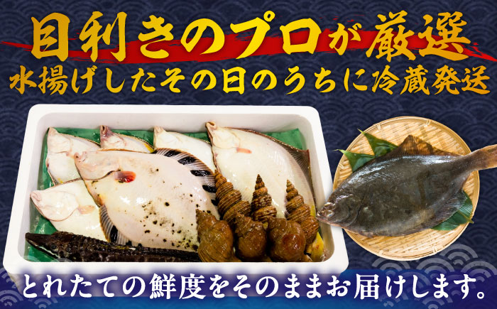 【北海道】漁港直送！季節のおまかせ鮮魚 3kgセット《厚真町》【鵡川漁業協同組合】海鮮 朝獲れ 産地直送 セット 詰め合わせ 冷蔵配送 北海道 [AXAL002]